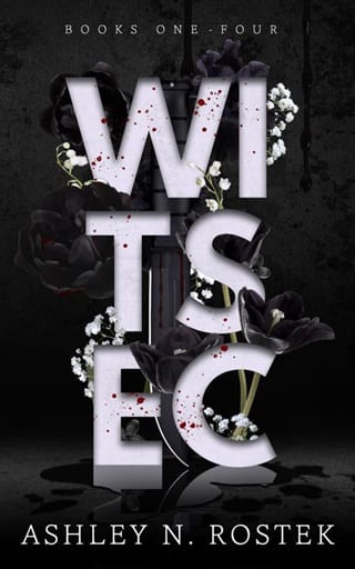 WITSEC by Ashley N. Rostek