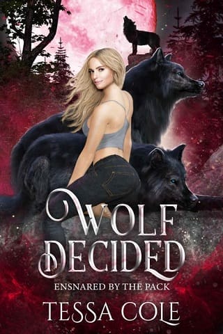 Wolf Decided by Tessa Cole