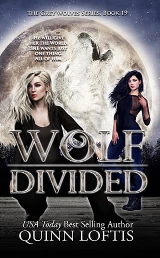 Wolf Divided by Quinn Loftis