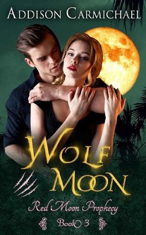 Wolf Moon by Addison Carmichael