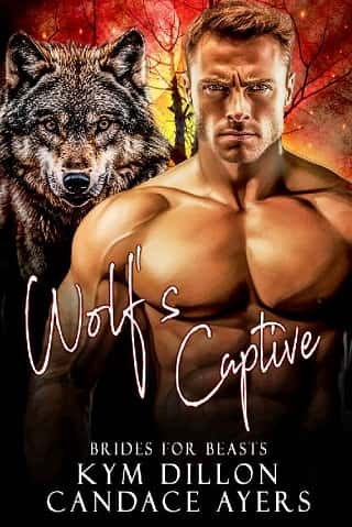Wolf’s Captive by Kym Dillon