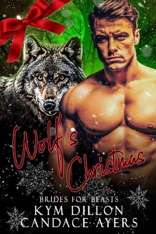 Wolf’s Christmas by Kym Dillon