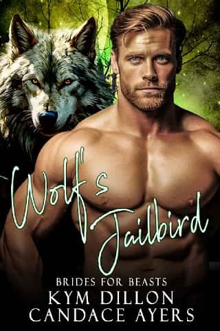 Wolf’s Jailbird by Kym Dillon