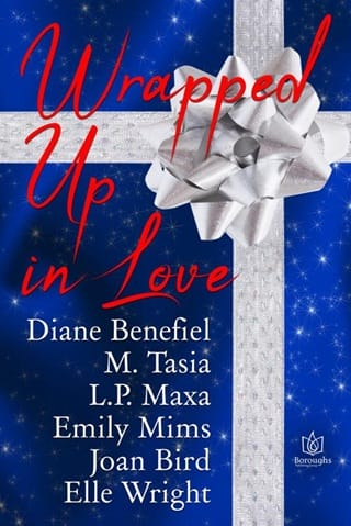 Wrapped Up In Love by Diane Benefiel