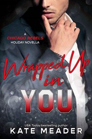 Wrapped Up in You by Kate Meader