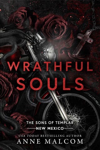 Wrathful Souls by Anne Malcom