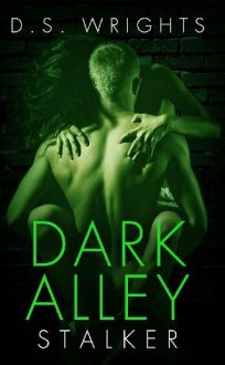 Dark Alley: Stalker by D.S. Wrights