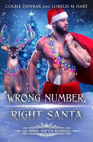 Wrong Number, Right Santa by Lorelei M. Hart