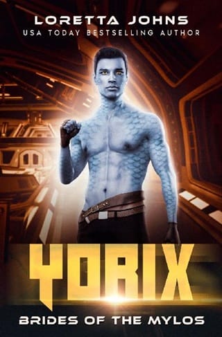 Yorix by Loretta Johns