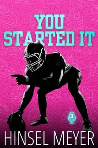 You Started It by Hinsel Meyer