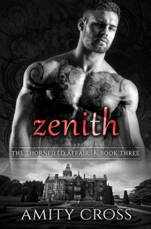 Zenith by Amity Cross